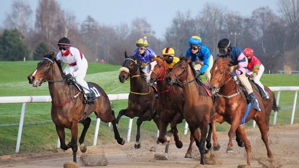 Сенат Кентукки принял закон о легализации ипподрома