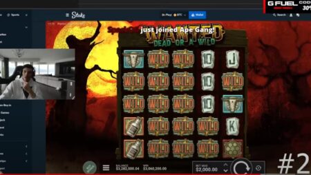 Это самый крупный игрок в онлайн казино?