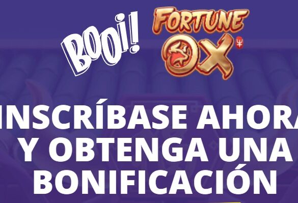 Booi Casino